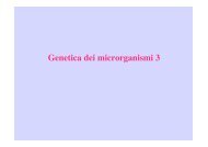 Genetica micro 3 - Microbiologia Generale