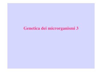 Genetica micro 3 - Microbiologia Generale