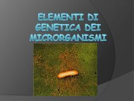 GENETICA DEI MICRORGANISMI