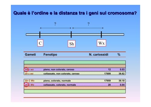 13. Il test a tre punti - Associazione Studenti di Agraria IAAS Sassari