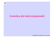 Genetica micro 4 - Microbiologia Generale