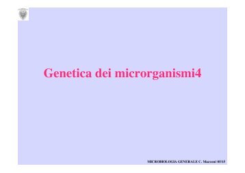 Genetica micro 4 - Microbiologia Generale