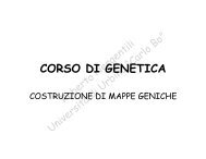 Costruzione di mappe geniche - la genetica a urbino