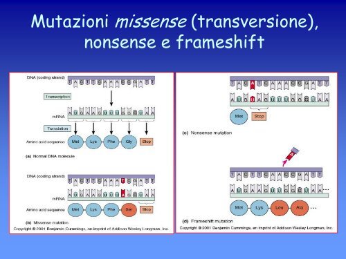 6a lezione genetica batterica.pdf - ch.unich - 'G. d'Annunzio'