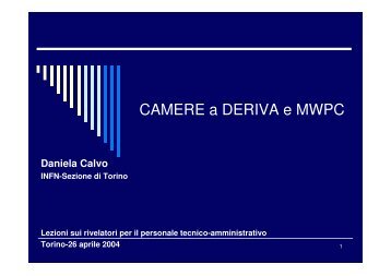 CAMERE a DERIVA e MWPC - Infn