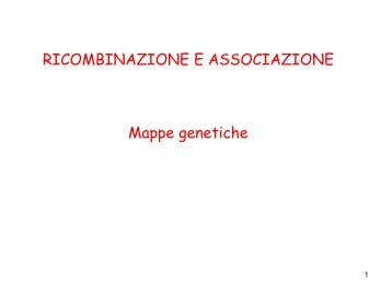 7 ricombinazione.pdf - DISAT