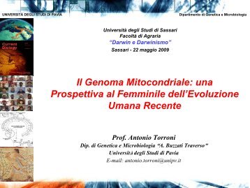 Il Genoma Mitocondriale: una Prospettiva al Femminile dell ...