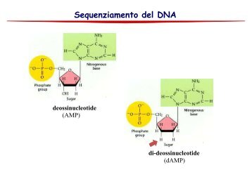 Functional cloning