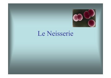 11 - Le neisserie