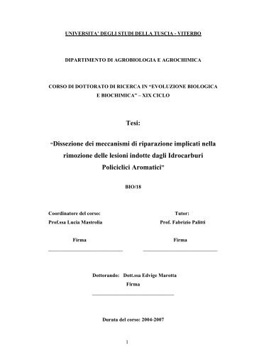 Tesi: “Dissezione dei meccanismi di riparazione ... - Unitus DSpace