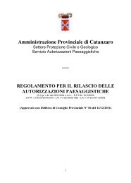 Visualizza e scarica il Regolamento - Provincia di Catanzaro