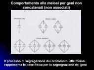 Associazione genica / Mappe genetiche