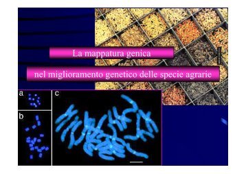 La mappatura genica - Agraria