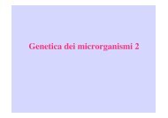 Genetica dei microrganismi 2 - Microbiologia Generale