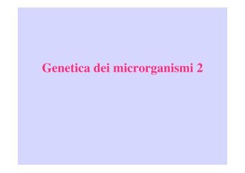 Genetica dei microrganismi 2 - Microbiologia Generale