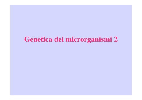 Genetica dei microrganismi 2 - Microbiologia Generale