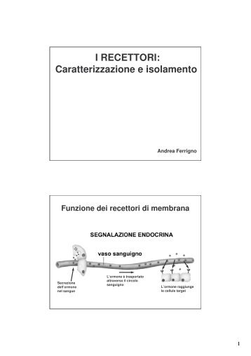 I RECETTORI: Caratterizzazione e isolamento