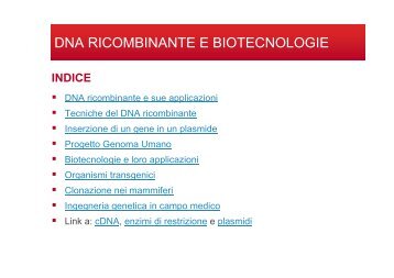 DNA RICOMBINANTE E BIOTECNOLOGIE - anna onofri