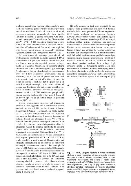 Uso di librerie fagiche per isolare in vitro anticorpi monoclonali