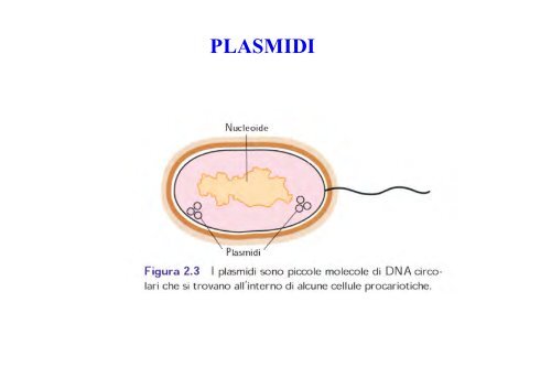 scarica il file pdf Il clonaggio