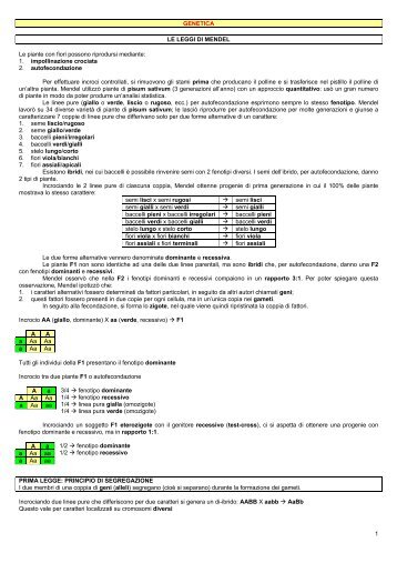 1 GENETICA LE LEGGI DI MENDEL Le piante con fiori possono ...