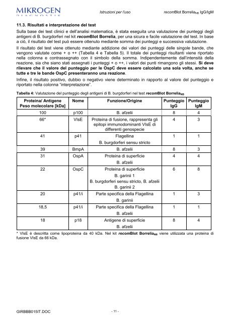 recomBlot BorreliaNB IgG e IgM - Mikrogen