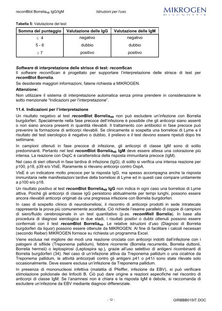 recomBlot BorreliaNB IgG e IgM - Mikrogen