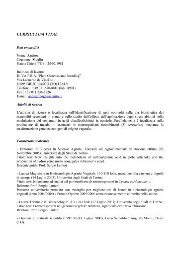 curriculum vitae - Università degli Studi di Torino