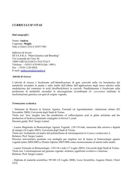 curriculum vitae - Università degli Studi di Torino
