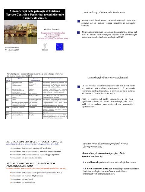 Autoanticorpi Nelle Patologie Del Sistema Nervoso Centrale E Simel