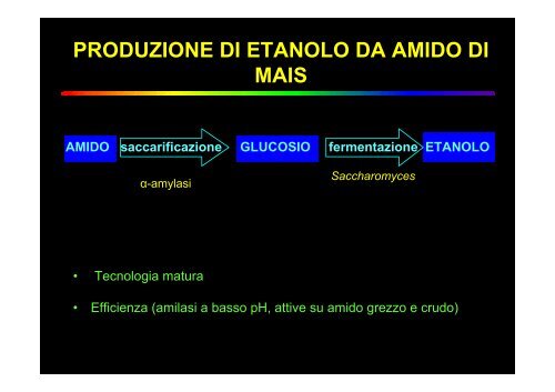 ruolo dei microrganismi nella produzione di biocombustibili