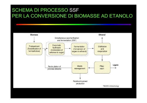 ruolo dei microrganismi nella produzione di biocombustibili
