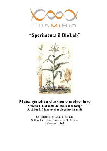 Genetica classica e molecolare in Mais - CusMiBio - Università degli ...