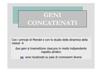 GENI CONCATENATI - Slidetube.it