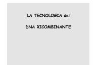 LA TECNOLOGIA del DNA RICOMBINANTE