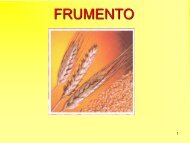 FRUMENTO - Di.Pro.Ve