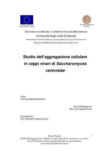 Studio dell'aggregazione cellulare in ceppi vinari di Saccharomyces ...