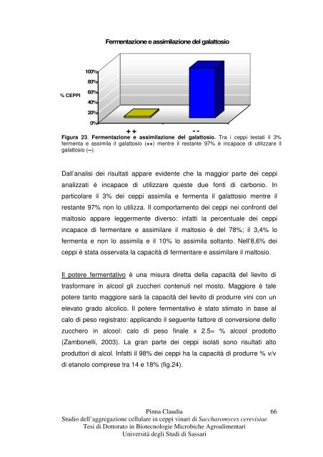 Studio dell'aggregazione cellulare in ceppi vinari di Saccharomyces ...