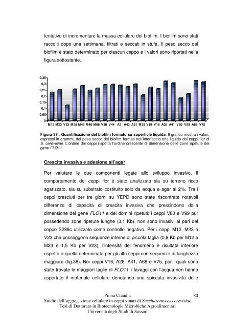 Studio dell'aggregazione cellulare in ceppi vinari di Saccharomyces ...