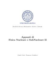 Appunti di Fisica Nucleare e SubNucleare II - Guido Cioni