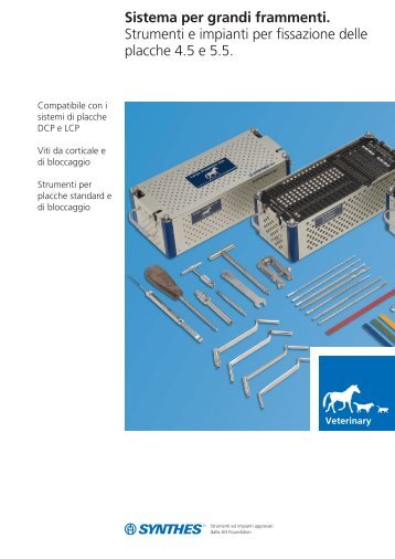 Sistema per grandi frammenti. Strumenti e impianti per ... - Synthes