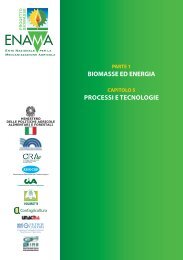 BIOMASSE ED ENERGIA PROCESSI E TECNOLOGIE - Enama