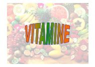 + + Vitamina B - Cicciolo.net