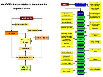 Droghe Alcaloidi.pdf