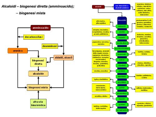 Droghe Alcaloidi.pdf