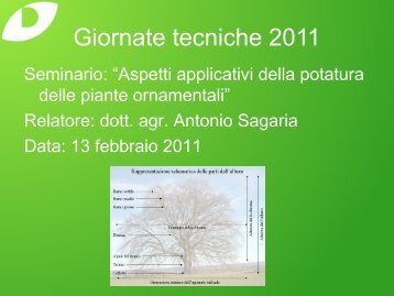 Aspetti applicativi della potatura delle piante ornamentali