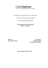 Tesi Baldoni Tiziana - Idrogeologia quantitativa