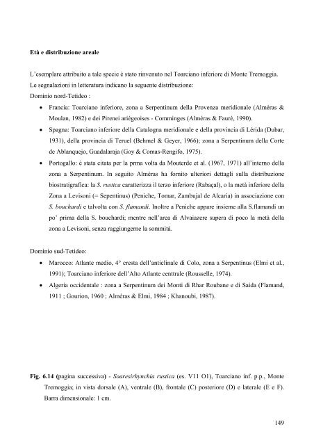 Buono Giuseppe, 2007, Phd Thesis (tesi dottorato) - Paleonews