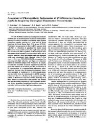 Assessment of Photosynthetic Performance of Prochloron in ...