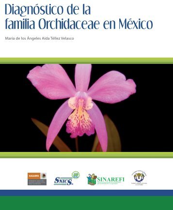 DIAGNOSTICO%20DE%20LA%20FAMILIA%20ORCHIDACEAE%20EN%20MEXICO